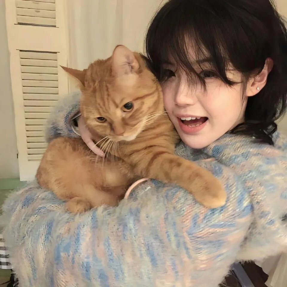 猫狗武林